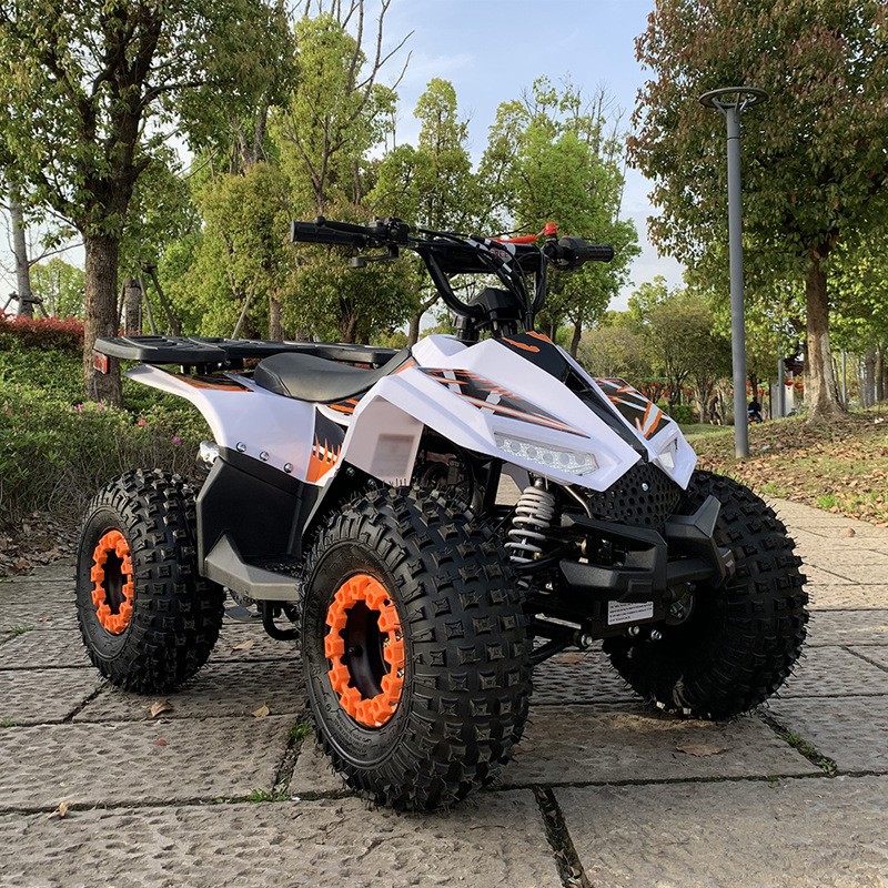 Outdoor Adventure Quad Biking - ATV 125CC, Pequeno Veículo Todo-Terreno Falcon,