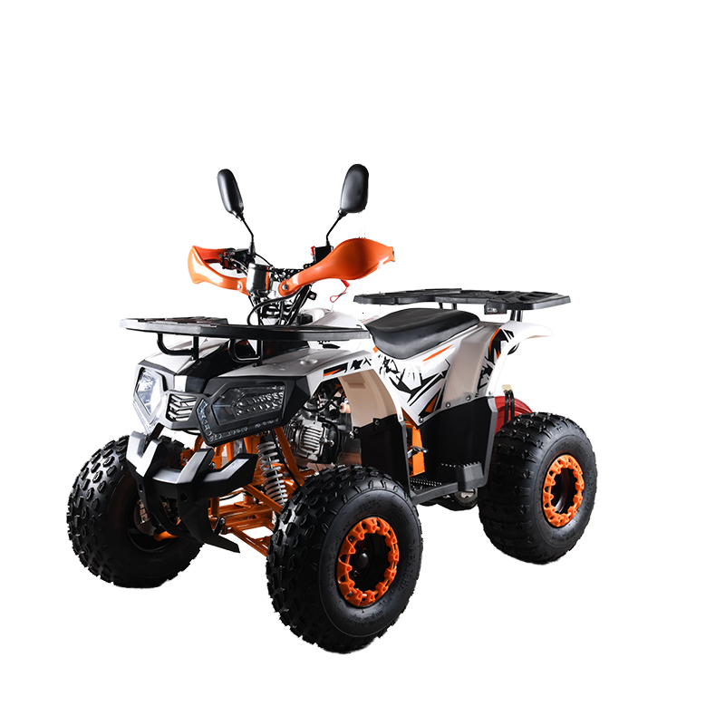 Quadriciclo ATV 110cc CE EPA p - Outdoor Adventure Quad Biking avaliação e preço