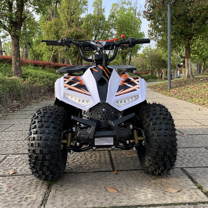 ATV 125CC, Pequeno Veículo Tod - Outdoor Adventure Quad Biking avaliação e preço