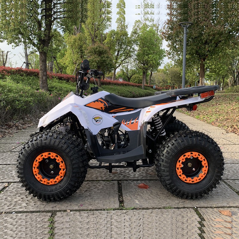 ATV 125CC, Pequeno Veículo Tod - Outdoor Adventure Quad Biking avaliação e preço