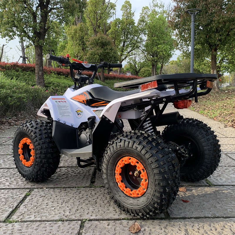 ATV 125CC, Pequeno Veículo Tod - Outdoor Adventure Quad Biking avaliação e preço