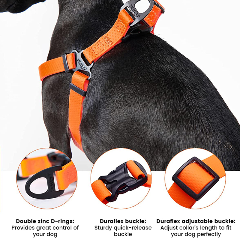 Arnês para cães ajustável sem  - Outdoor Adventure Walks avaliação e preço