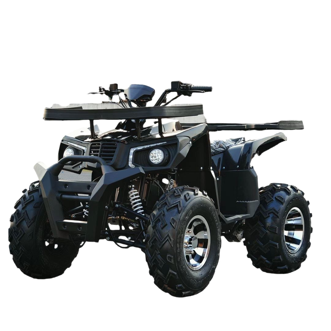 Buggy de Areia para Todos os T - Outdoor Adventure Quad Biking avaliação e preço